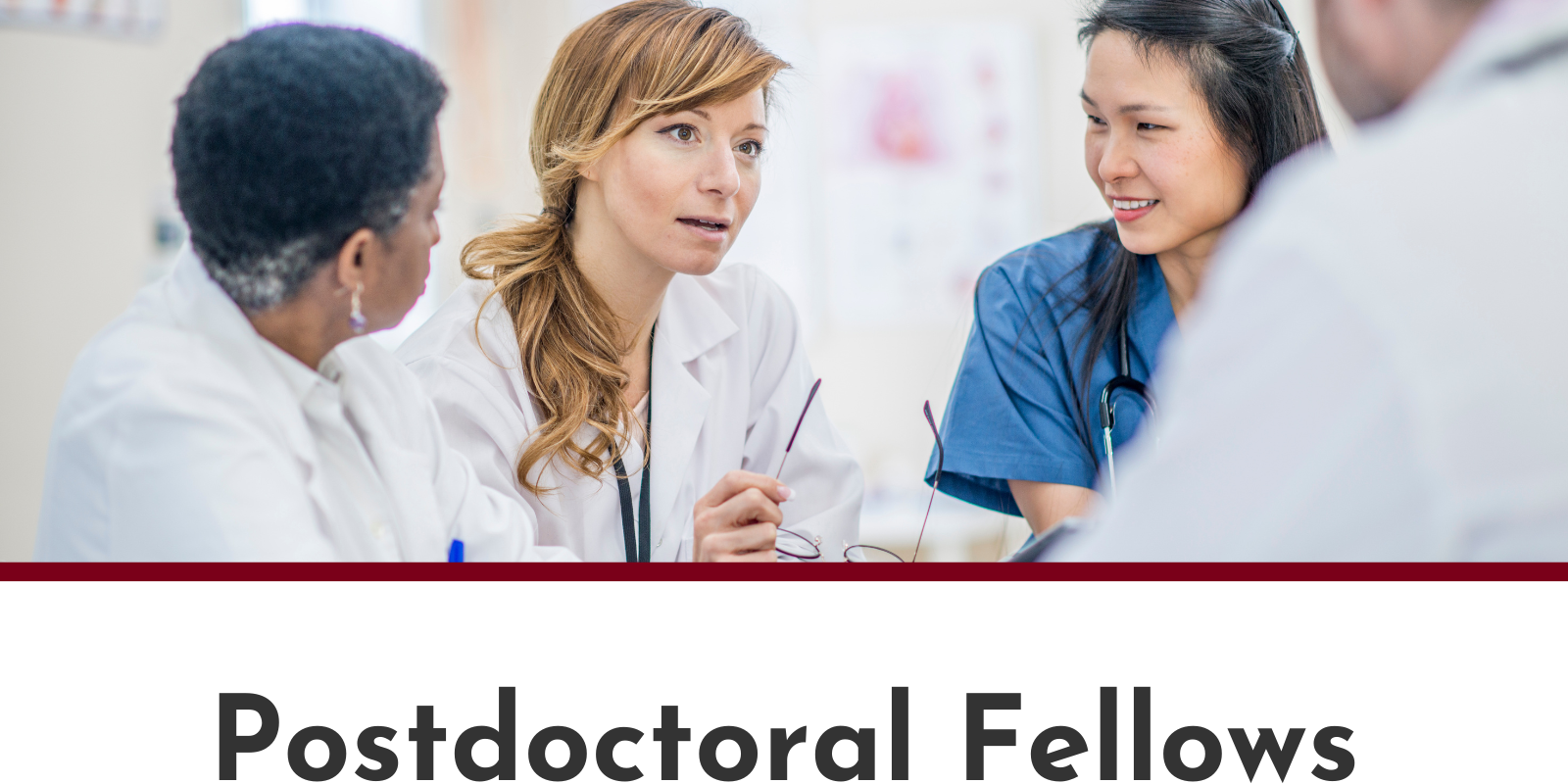 Postdoctoral Fellows